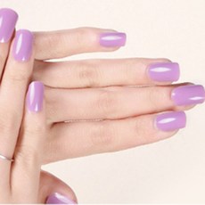 데이소이 베이직 컬러 젤 네일 스티커 11종 x 2p 세트, 10 컬러, 1개