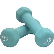 Valansis 美體啞鈴 薄荷綠, 0.5kg, 2個