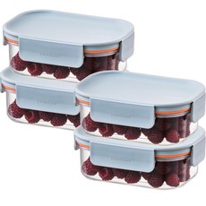 LocknLock 樂扣樂扣 Bisfree Modular Plus長方形保鮮盒 薄荷綠色, 4個, 260ml保鮮盒
