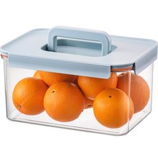 樂扣樂扣 Bisfree Modular Plus 長方形方便薄荷口味 4.8L, 單品, 1入