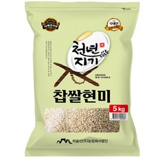 천년지기 국산 찹쌀현미, 5kg, 1개