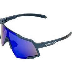 WING 알리 선글라스, Navy + Blue, 1개
