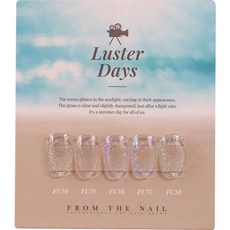 FROM THE NAIL Luster Days 套組, 1個, 10g, 5種套組