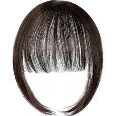 Allode 層次感瀏海髮片 25cm, 1個, TYPE 04