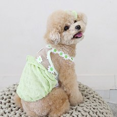 ITS DOG 寵物雛菊泡泡袖T恤, 綠色
