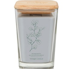 YANKee CANDLe Well-being 蠟燭, 552g, 尤加利+薄荷, 1個