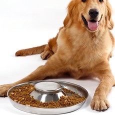 PASTEL PET 寵物火山不鏽鋼碗 M, 銀色, 1個