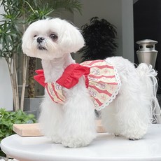 Qilci 寵物夏季蕾絲洋裝, 紅色