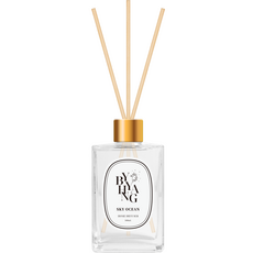 바이향 홈 디퓨저, 스카이오션, 100ml, 1개