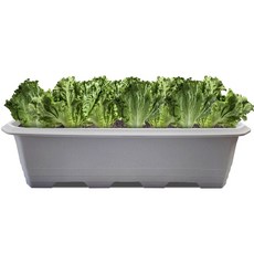 Hwabunworld 多用途基本款花盆/菜園盆, 1個, 愛戀灰
