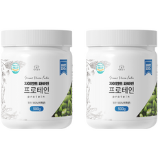 웰빙곳간 자이언트 파바빈 프로테인, 500g, 2개