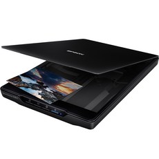 EPSON 愛普生 完美平面掃描器, V39II