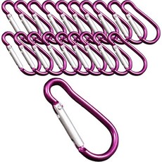 Allsell 高強度鋁製戶外露營車宿登山登山扣 20入, 紫色