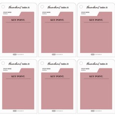 플레픽 썸네일 인덱스잇 점착메모지, 03 키 포인트, 6개