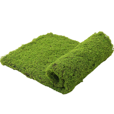 Dawoo F&G 人造苔蘚牆面綠化植物牆苔蘚墊, 綠色