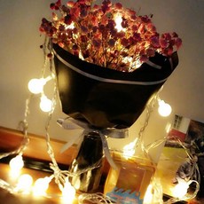 Vivacell 櫻桃 LED 露營房間裝飾照明蛋燈泡 40 個燈泡櫻桃 USB, 電燈顏色(暖白)