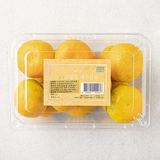 프레시픽 고당도 제주 감귤, 1kg(2S~M), 1개