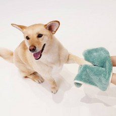 레미투미 강아지 고양이 허그U 초극세사 타올, 민트