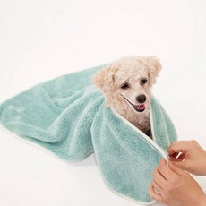 ReMeToMe 狗狗貓咪Hug U超細纖維毛巾, 薄荷綠