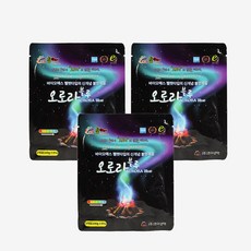 노마드 참화이어 오로라 100g NEW-0409 3p, 1개