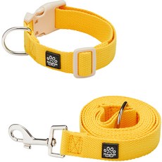Mungtem 寵物調色盤項圈 + 牽繩套組, 鮮黃色, 1套