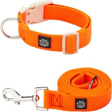 Mungtem 寵物調色盤項圈 + 牽繩套組, 霓虹橘, 1套