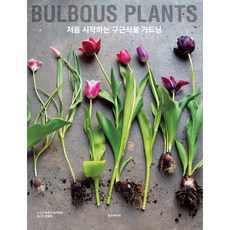 【漢斯傳媒】首次種球莖植物園藝, 韓斯媒體, 松田幸大