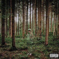 孫子：我愛你，我正在努力, 1CD