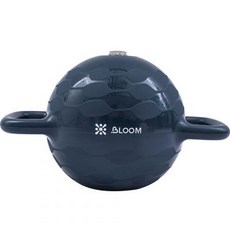 리브프로 블룸 무게조절 케틀벨 1.2kg, 블루, 1개
