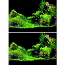 MIMINEAQUA 充滿清新水草 魚缸背景板 2入, 混合色