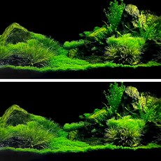 MIMINEAQUA 魚缸背景板, 充滿清新水草
