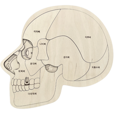 大腦探索拼圖教具+韓語作業本, 混色