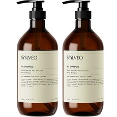 솔브이오 블랙 펩타이드 탈모 두피 샴푸, 2개, 1L