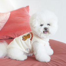 dingdog 寵物泰迪熊睡眠背心, 象牙白