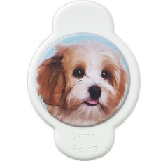 손이가요 맥세이프 M팡 스마트톡, 강아지 스카이, 1개