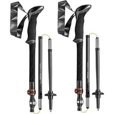 LEKI Plus Pack Makalu FX 碳纖維登山杖 2入 65220621P, 混合色