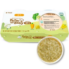 팜투베이비 레디 실온이유식 중기, 소고기근대야채죽, 110g, 2개
