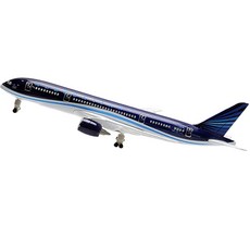 模型飛機 壓鑄, 65亞塞拜然航空B787