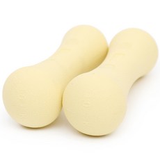 에바핏 파스텔 아령, 1kg, 2개