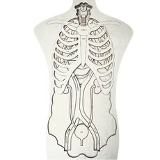 STUKA PUKA 인체해부도 퍼즐 교구 인체 한글워크북 포함, 혼합색상, 1개