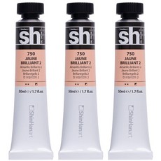 신한화구 sh 유화 튜브 물감 쟌 브릴리언트 2 3개, 50ml, 1색