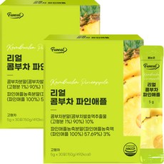 퍼니트 리얼 콤부차 파인애플맛, 5g, 30개입, 2개