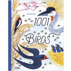 1001 Birds