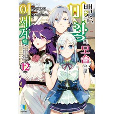 尼特族 以魔王之姿在異世界 12, D&C MEDIA