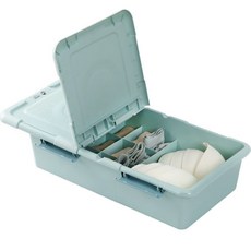 Realmood塑膠隔板內衣收納盒, 天藍色, 1個