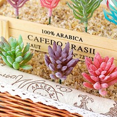 客廳室內裝飾彩色迷你人造花多肉植物 3種組 木頭, 混色, 1組