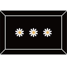 HOMEDAUM 可水洗Q彈珪藻土5層加強吸水地墊, 時尚黑雛菊, 1個