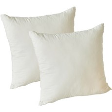 I'm Living 軟綿高密度奈米水洗抱枕套 2入