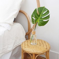 O'MAR 擴香 Botanic Garden 室內芳香劑 A 龜背芋, 200ml, 純淨小蒼蘭, 1個