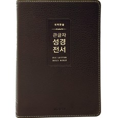 Lifebook 韓文改譯版 大字體 聖經全書 中版 索引 無拉鍊 PU H72WM 深棕色